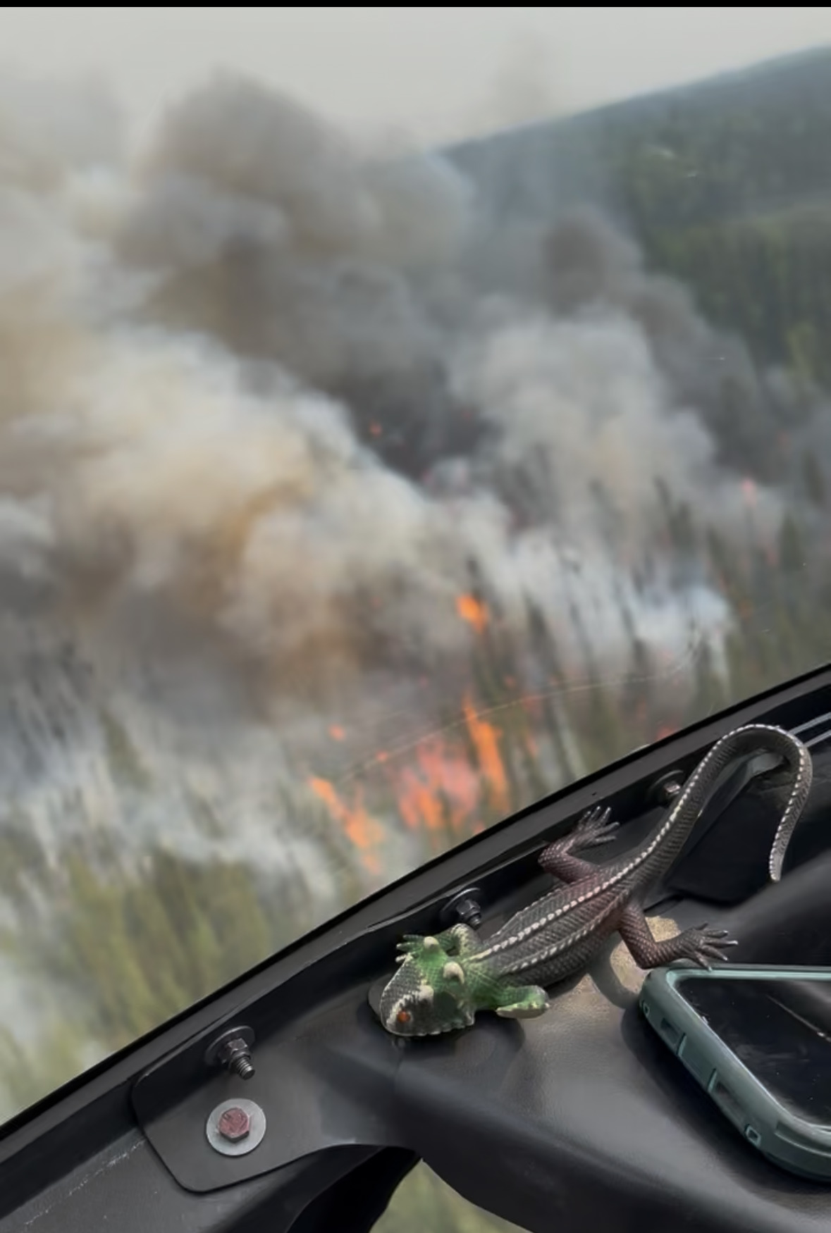 Lizzy the toy lizard perched on a helicopter dashboard with wildfire smoke and flames visible through the windshield